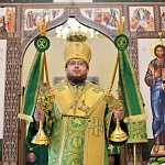 В Лузском районе прошли торжества, посвящённые годовщине преставления преподобного Леонида Устьнедумского